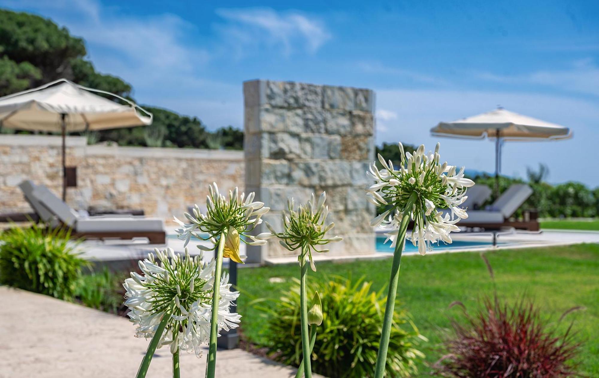 Theluxuryvillas بريفيزا المظهر الخارجي الصورة